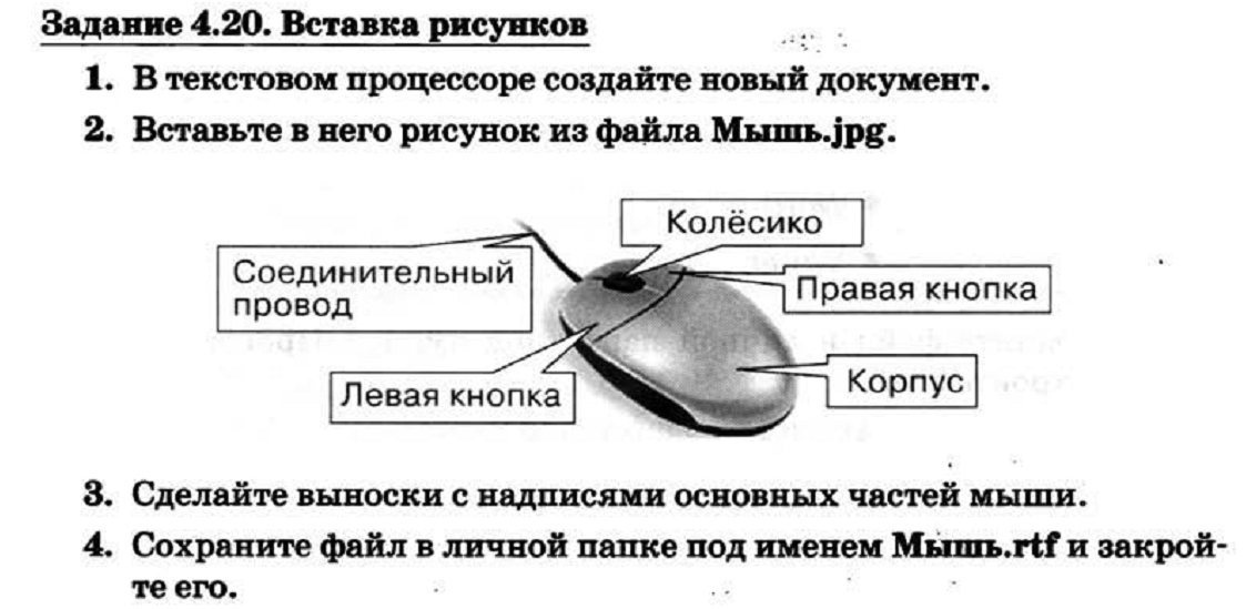 Рисунок мышь информатика 7 класс - 94 фото